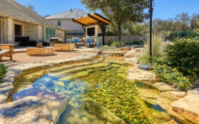 Solving the Mystery of Disappearing Water in Your Pond