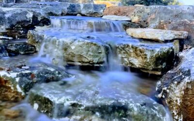 Stonebridge Pond & Waterfall CO Monthly Newsletter: April