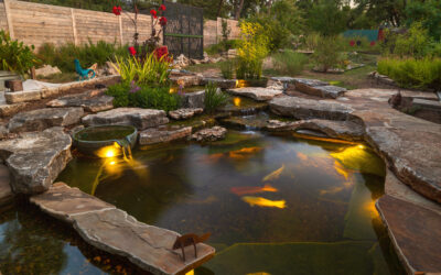 Stonebridge Pond & Waterfall CO Monthly Newsletter: June
