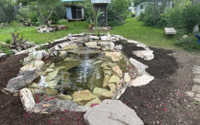 Stonebridge Pond & Waterfall CO Monthly Newsletter: July