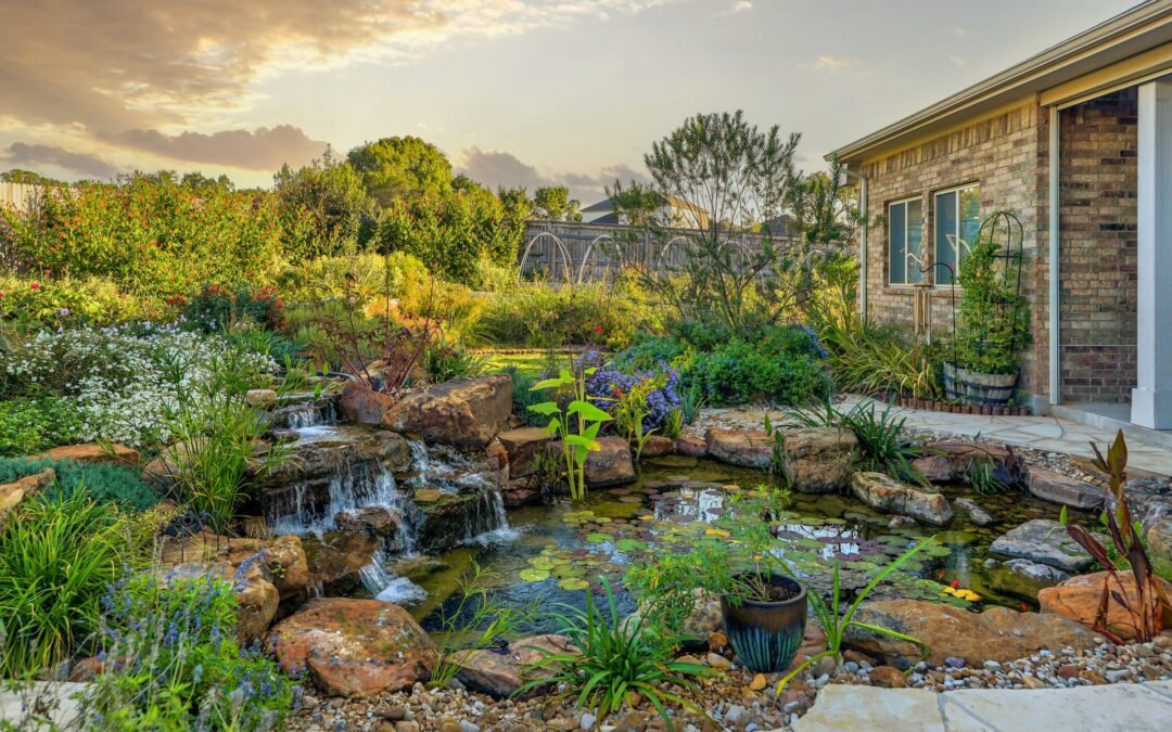 Trusted Hill Country Businesses: Our Favorite Local Pros