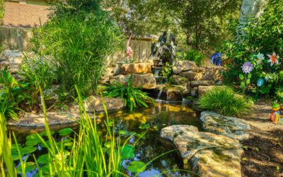 The Three Essentials of a Successful Pond: What Every Austin Pond Owner Should Know