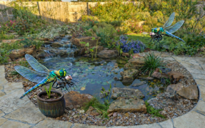 Do Water Features Attract Mosquitoes in Central Texas?