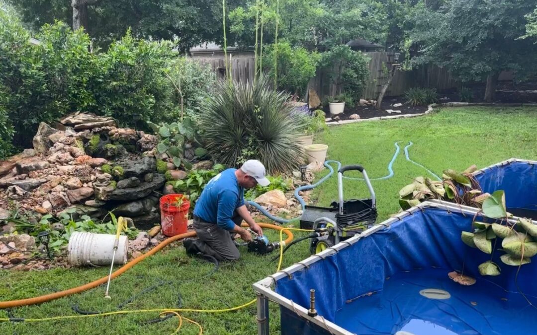 Stonebridge Pond & Waterfall CO Monthly Newsletter: February 2026