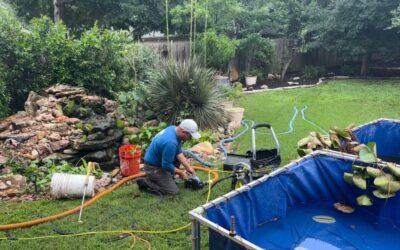 Stonebridge Pond & Waterfall CO Monthly Newsletter: February 2026