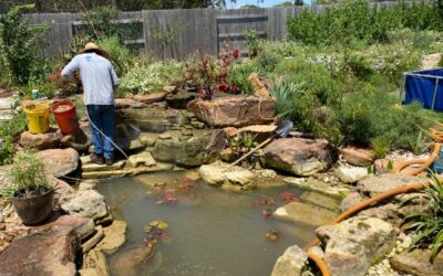 Pond Spring Cleaning 101: Keep Your Pond Clear in the Texas Hill Country