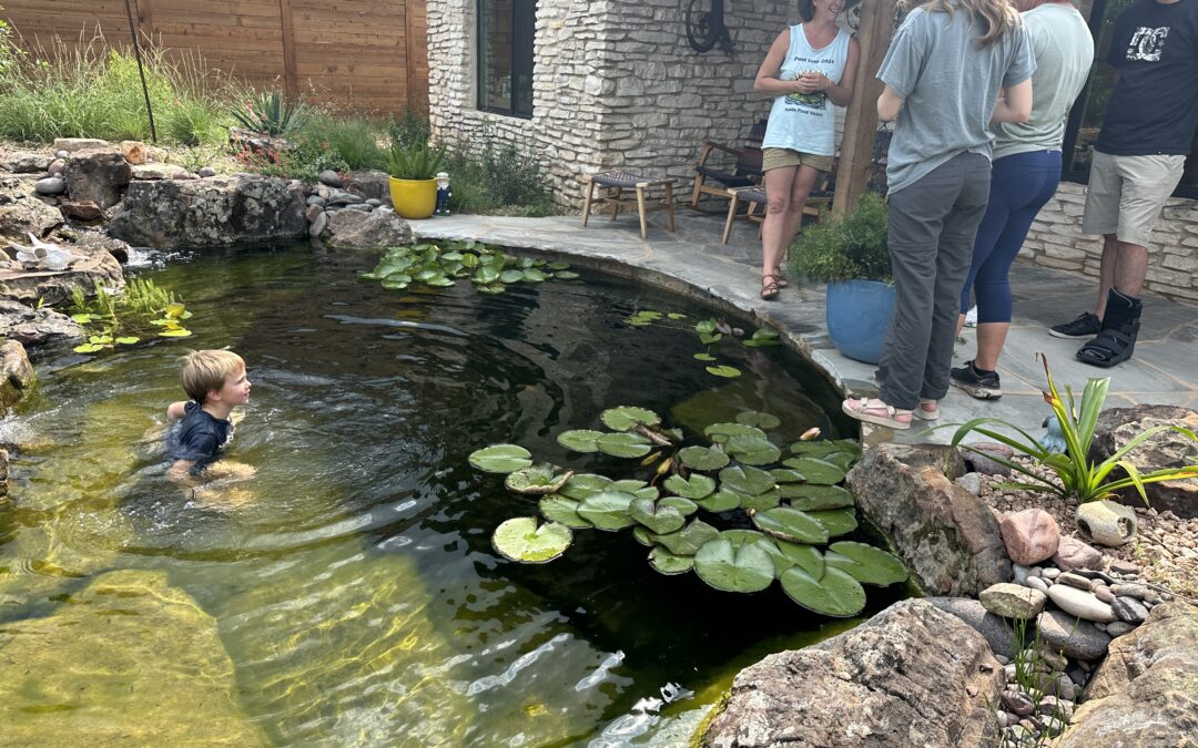 Stonebridge Pond & Waterfall CO Monthly Newsletter: March 2026