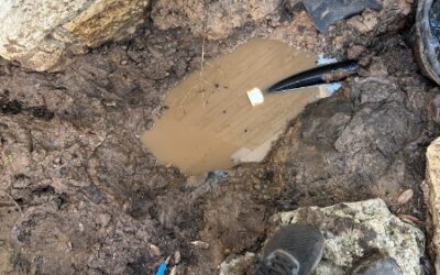 Why Is My Pond Losing Water? Diagnosing Pond Leaks and Repairs in Austin