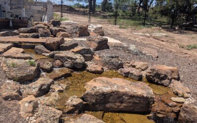 From Water Feature Disaster to a Hill Country Dream