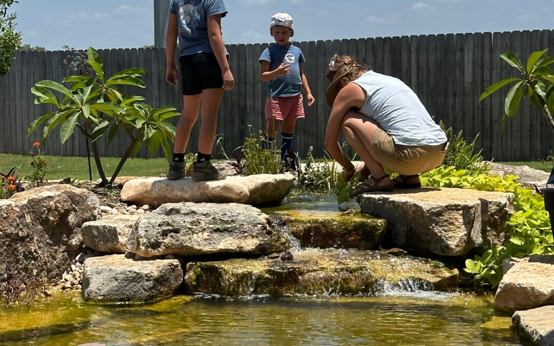 Stonebridge Pond & Waterfall CO Monthly Newsletter: June 2026