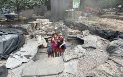 Stonebridge Pond & Waterfall CO Monthly Newsletter: August 2026