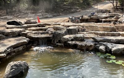 Stonebridge Pond & Waterfall CO Monthly Newsletter: September 2026