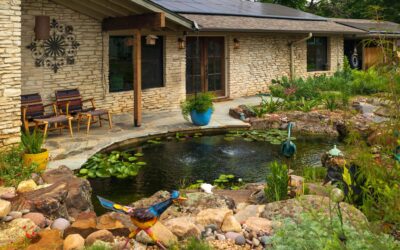Please Don’t Build a Pond Until You’ve Taken This Quiz